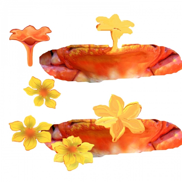 Creation of Froggy Flowers: Step 8